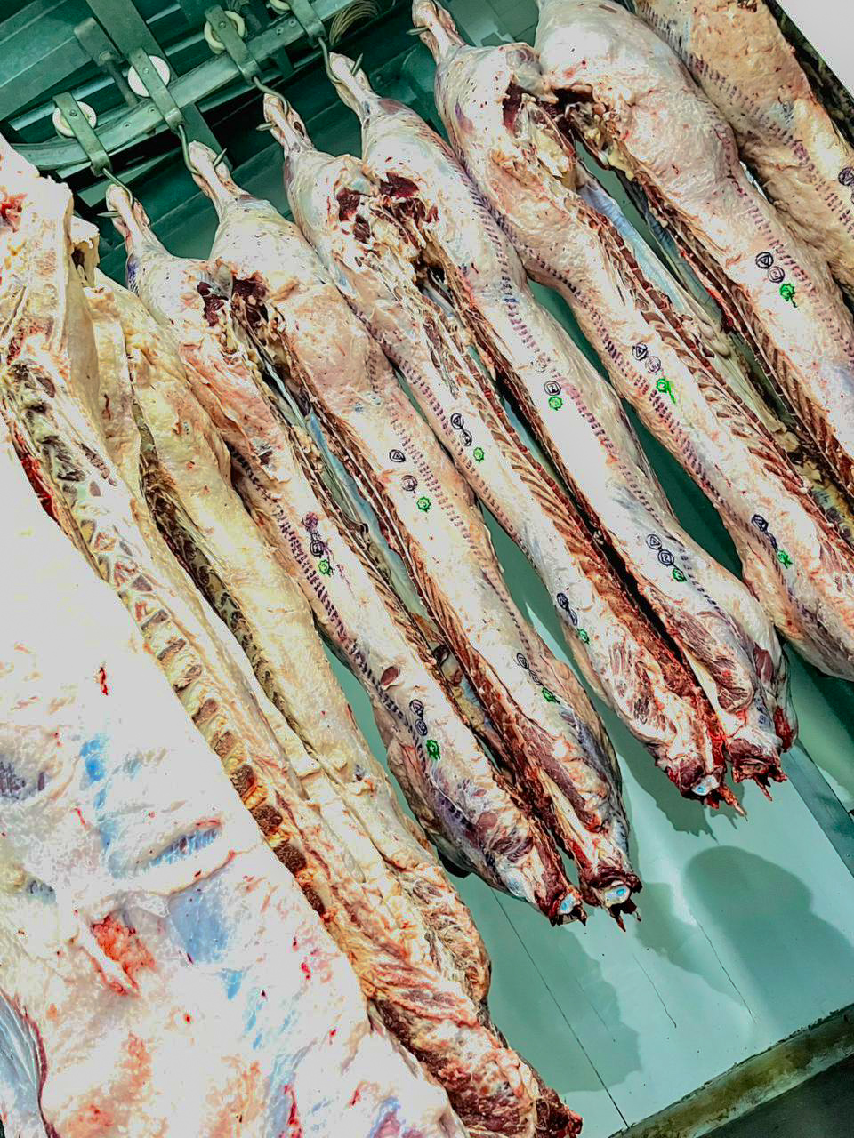 Butchery Meat